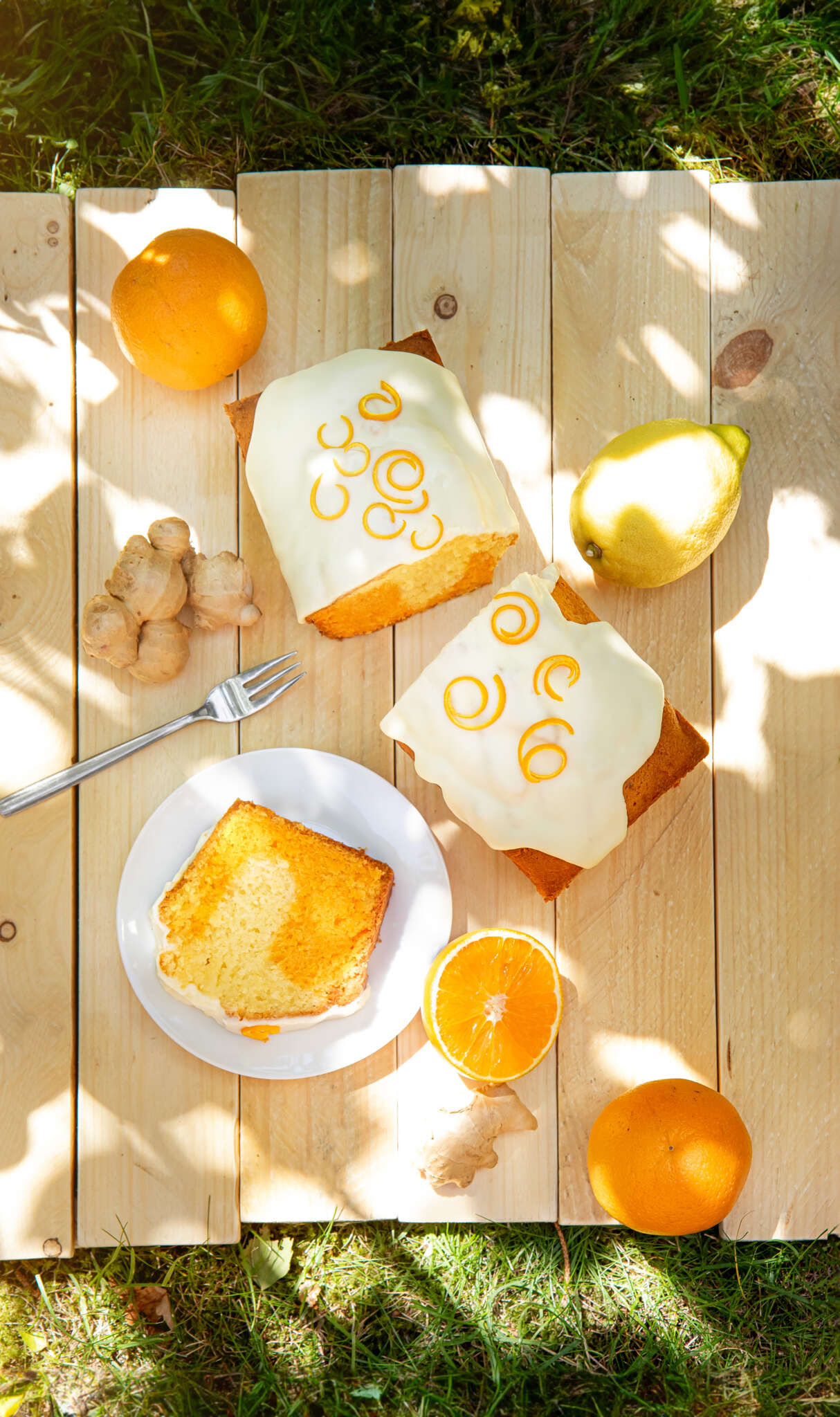 Orangen-Zitronen-Ingwer Kuchen — Kuchenstickel